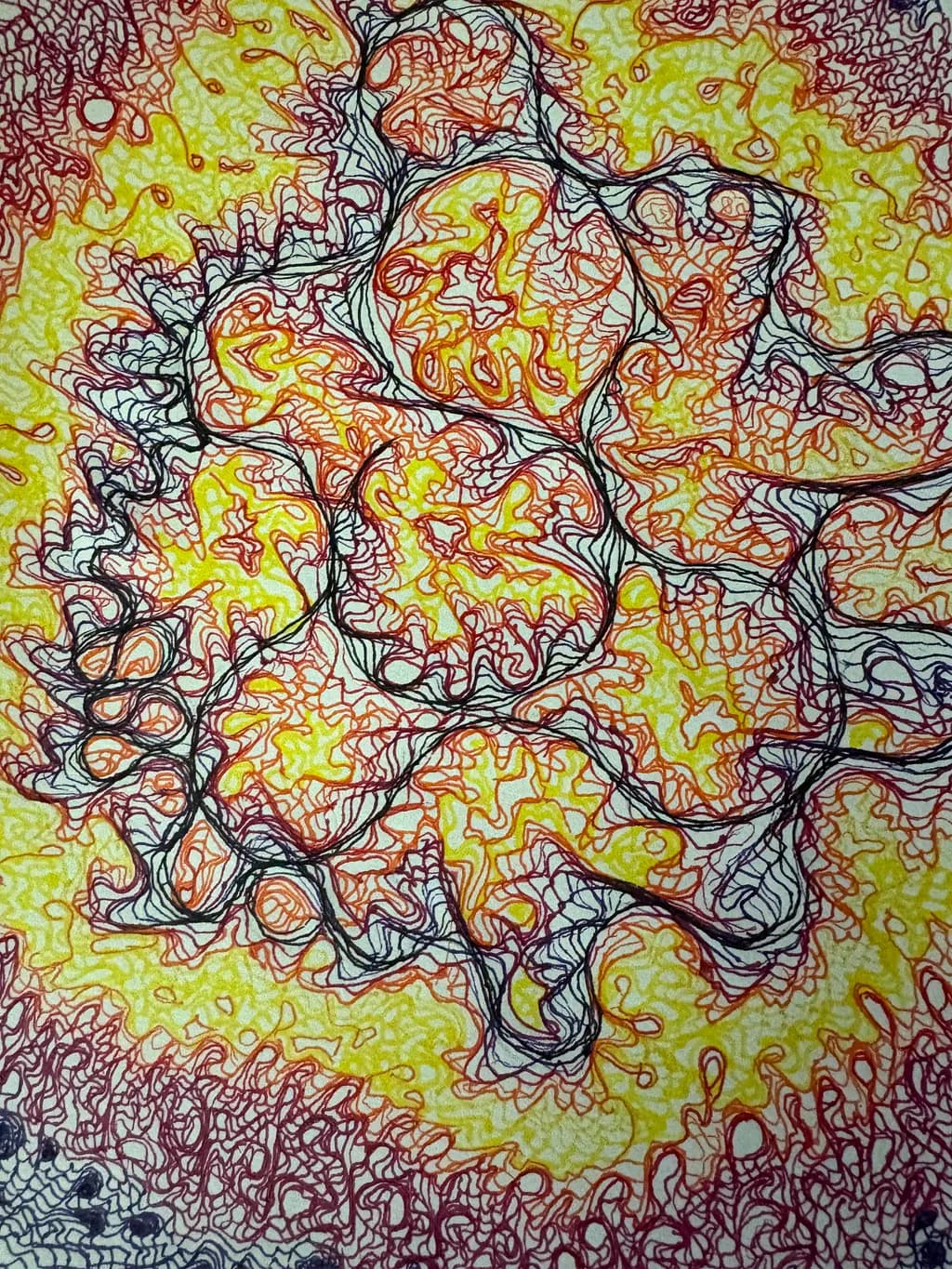 Cellular Maze