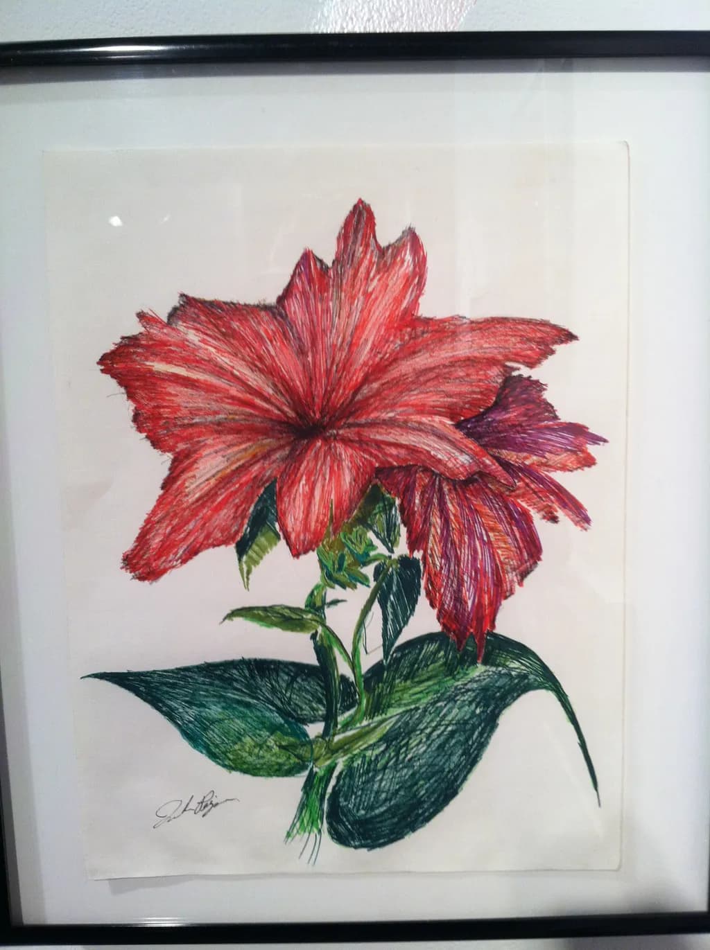 Red Lily Bloom