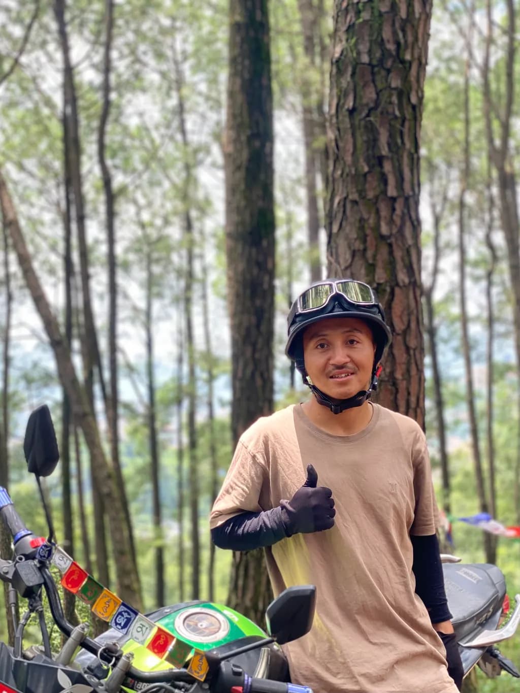 Forest Ride