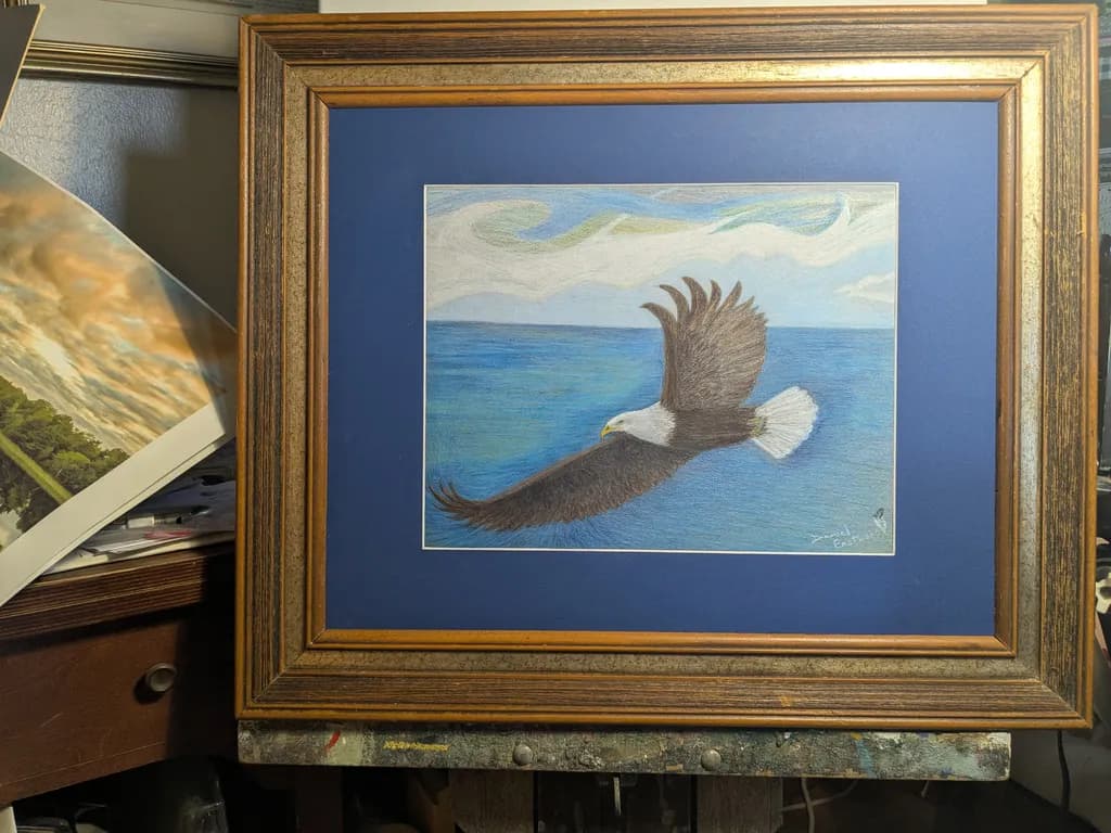 Bald Eagle in Flight