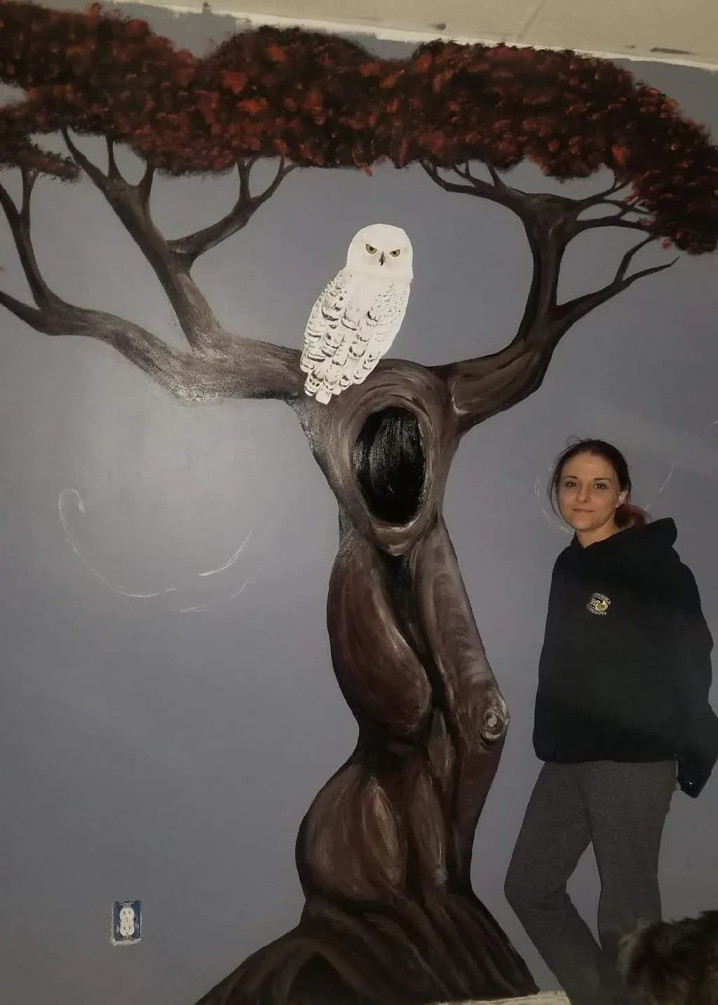 Owl on Tree