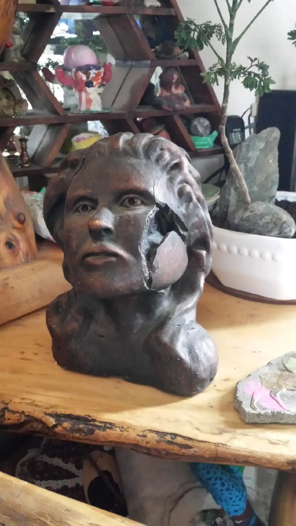Broken Face Bust