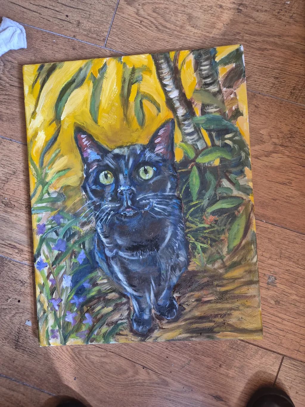 Black Cat in Garden
