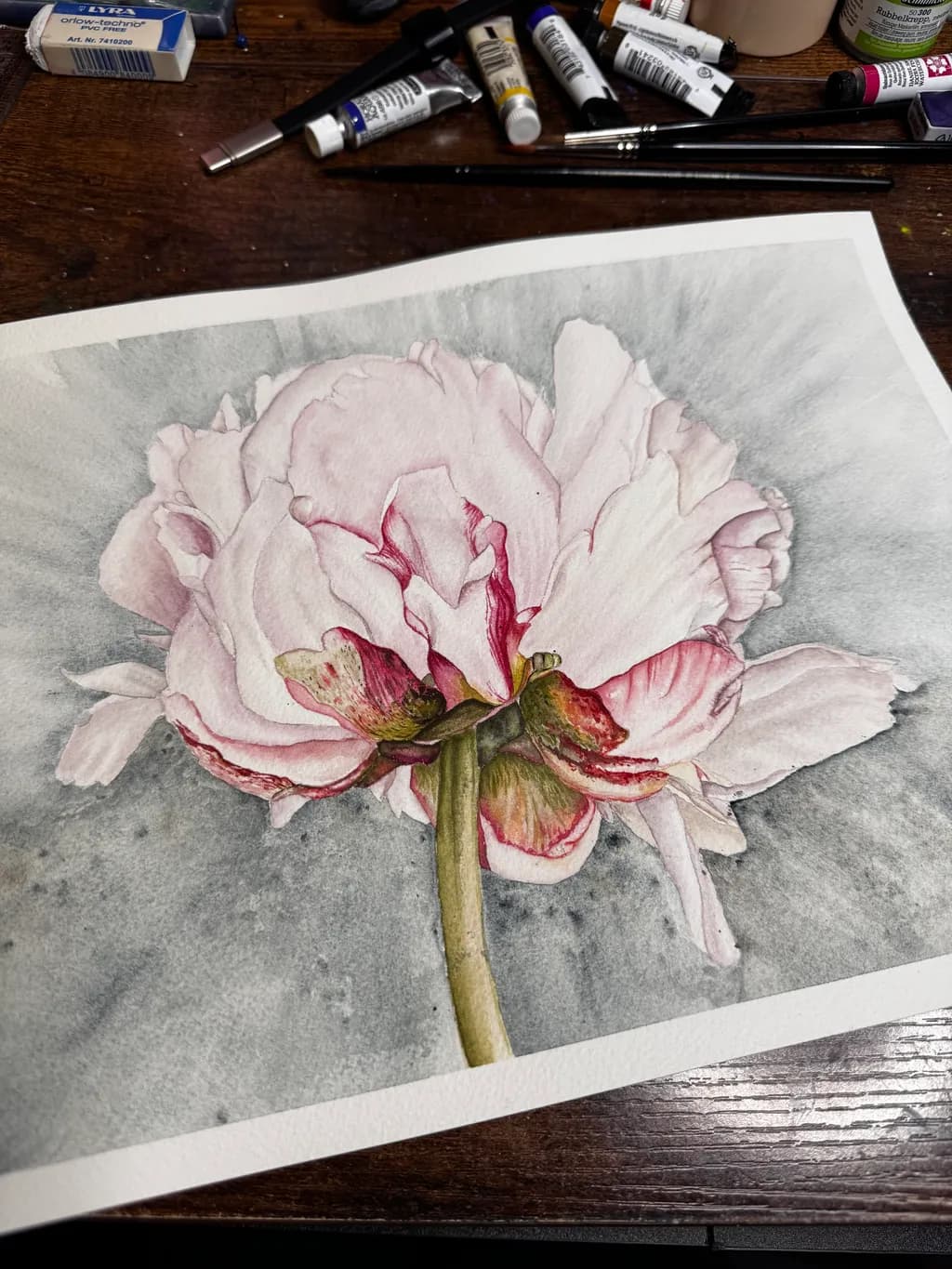 Pink Peony Stem