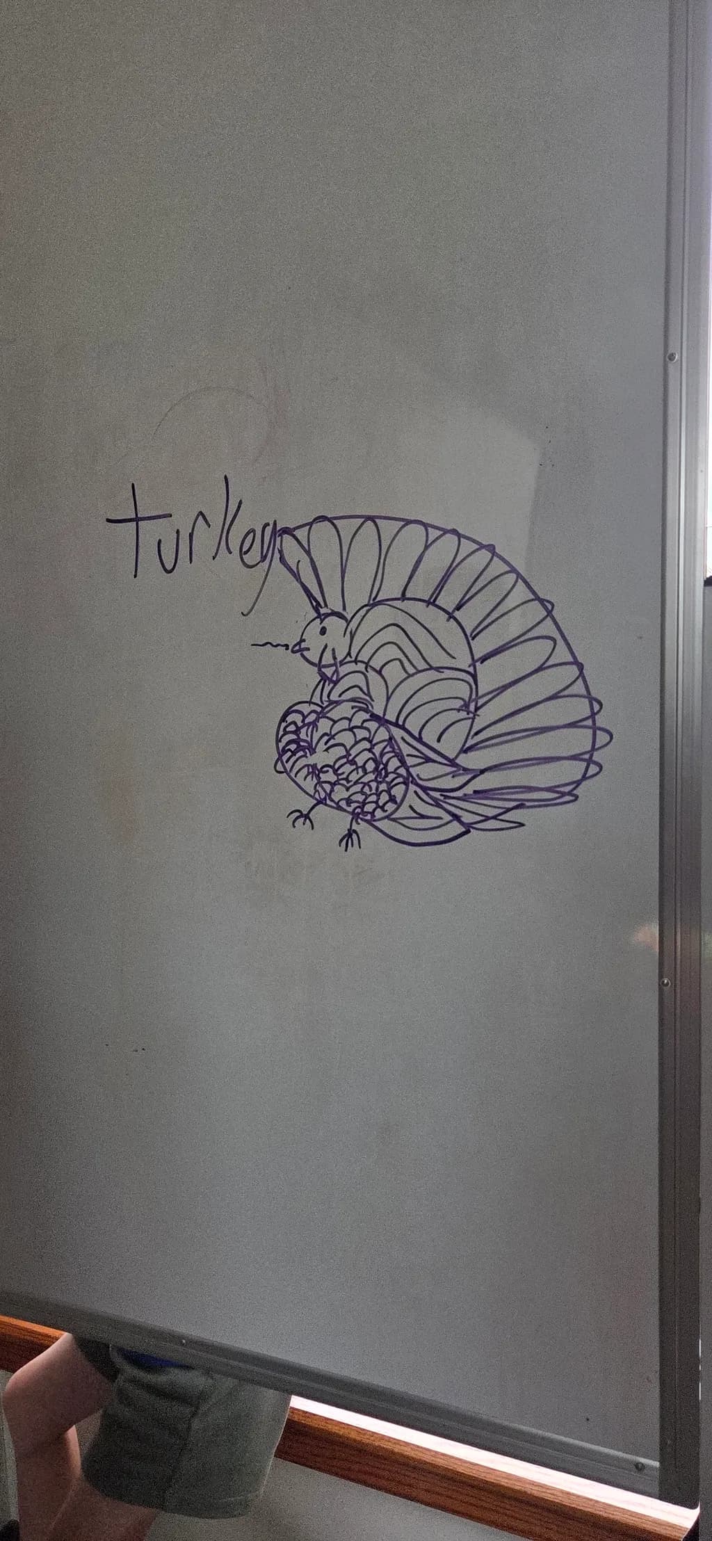 Turkey Sketch