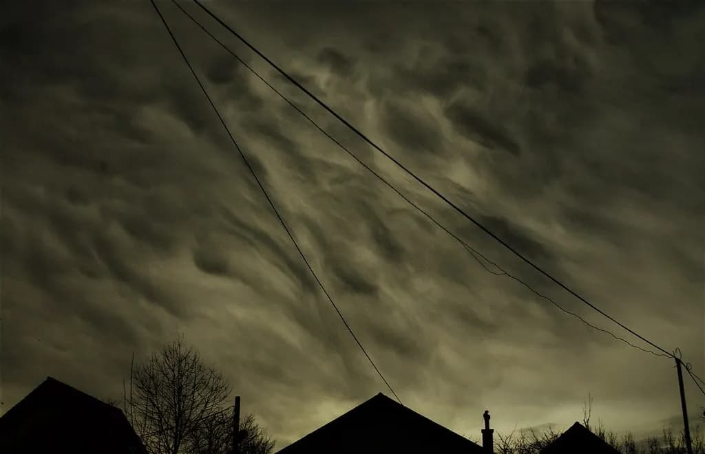 Silhouetted Rooflines and Wires
