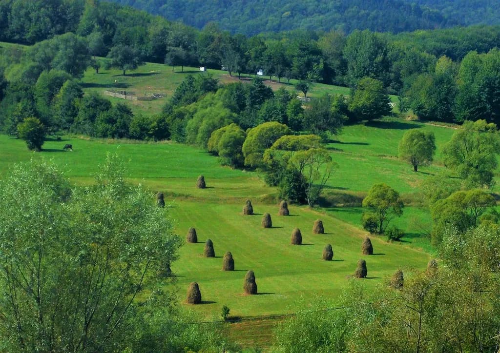 Haystacks in Green Hills