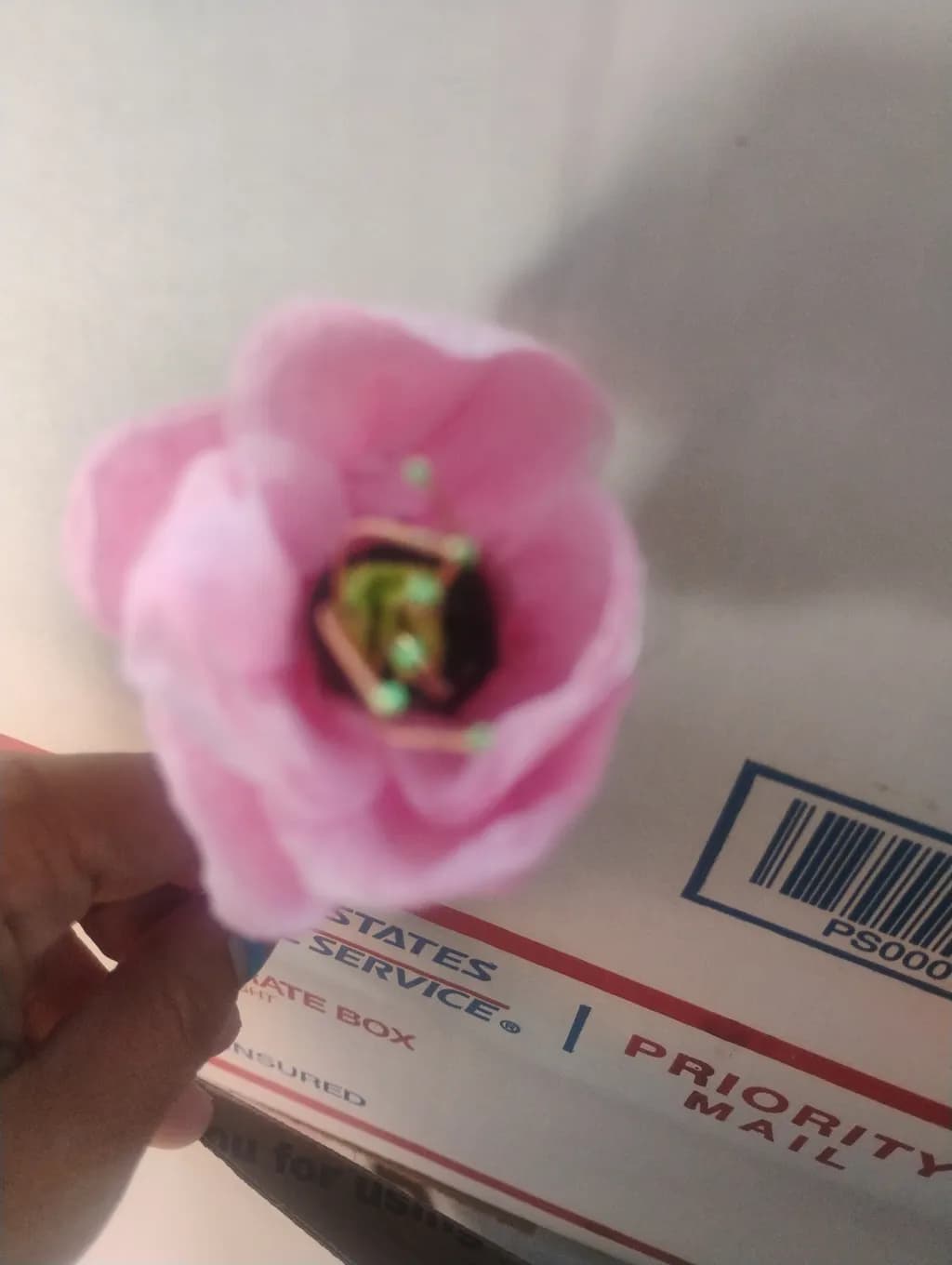 Pink Bloom Mystery