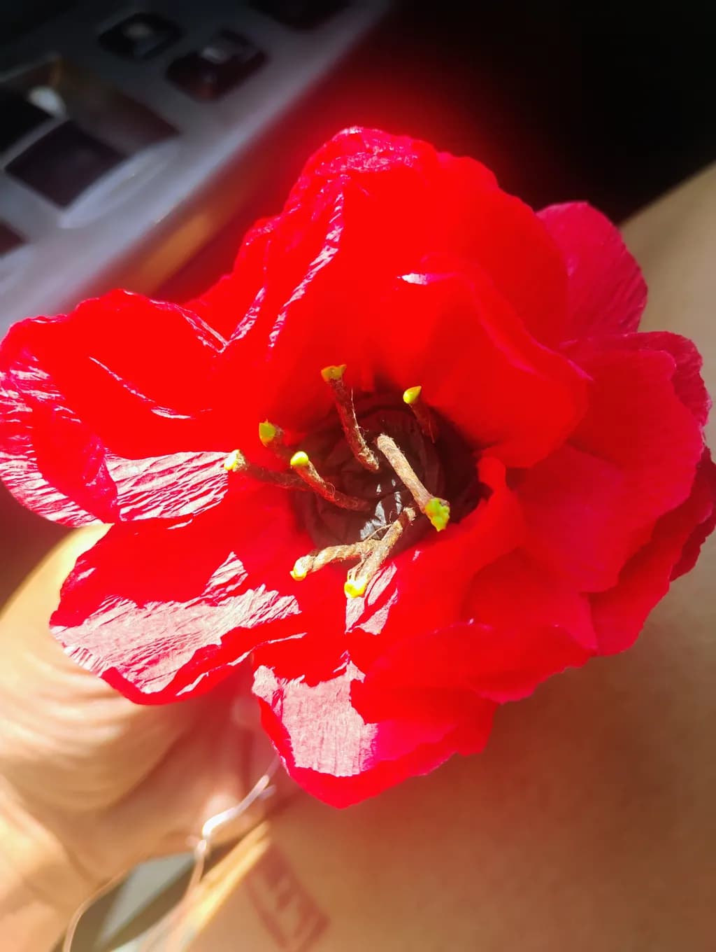 Crimson Bloom