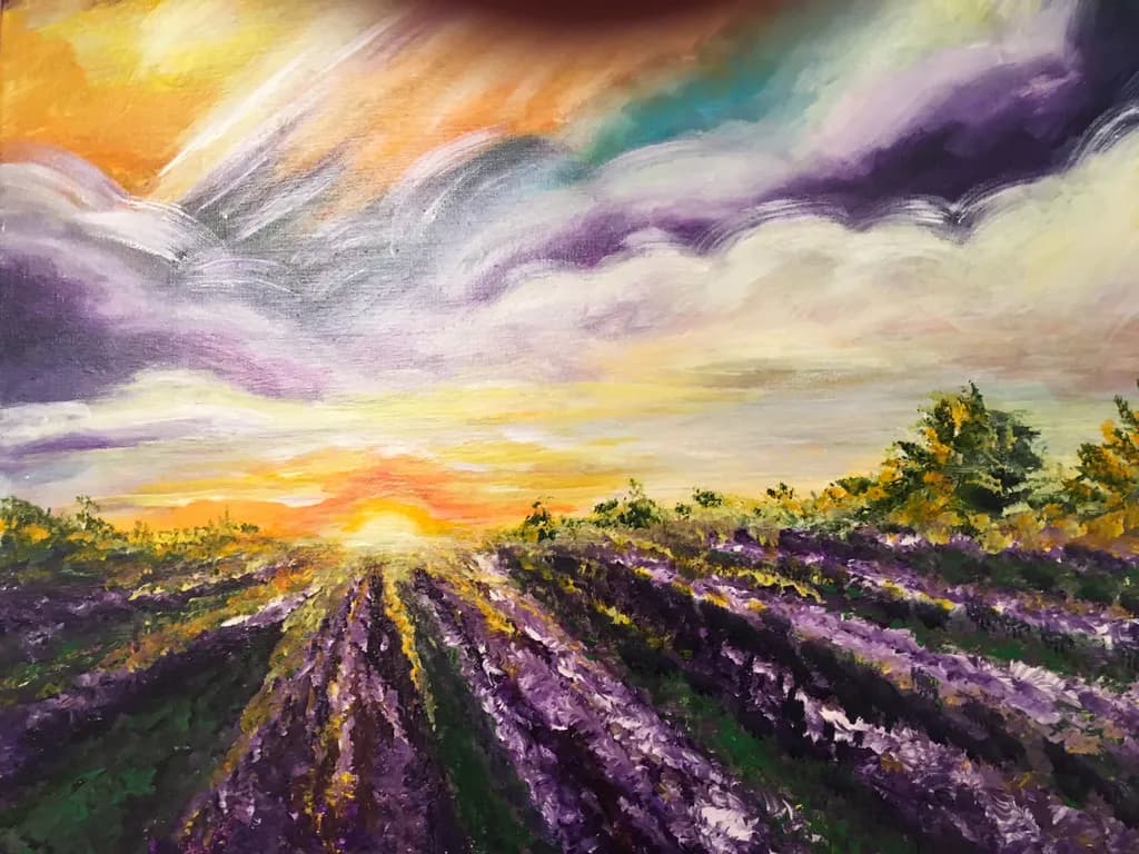 Lavender Field Sunset