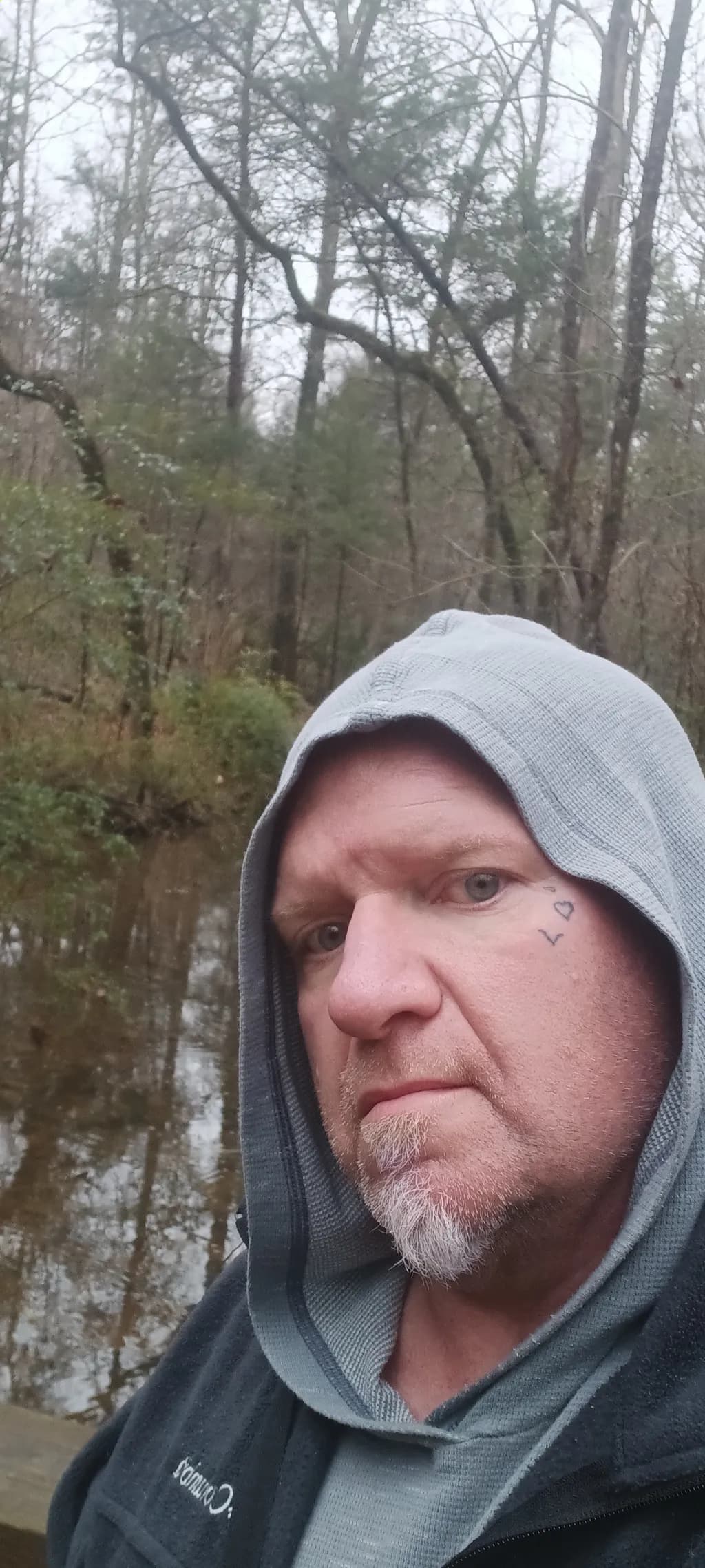Forest Reflection Hoodie
