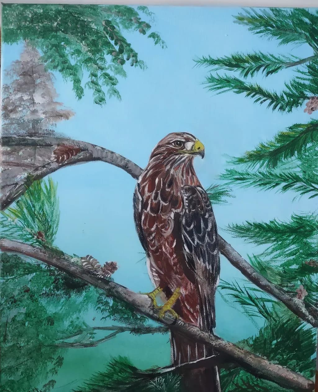 Hawk on Branches
