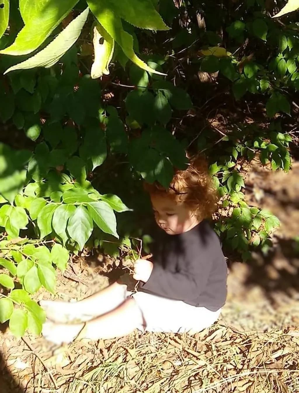 Child Among Leaves