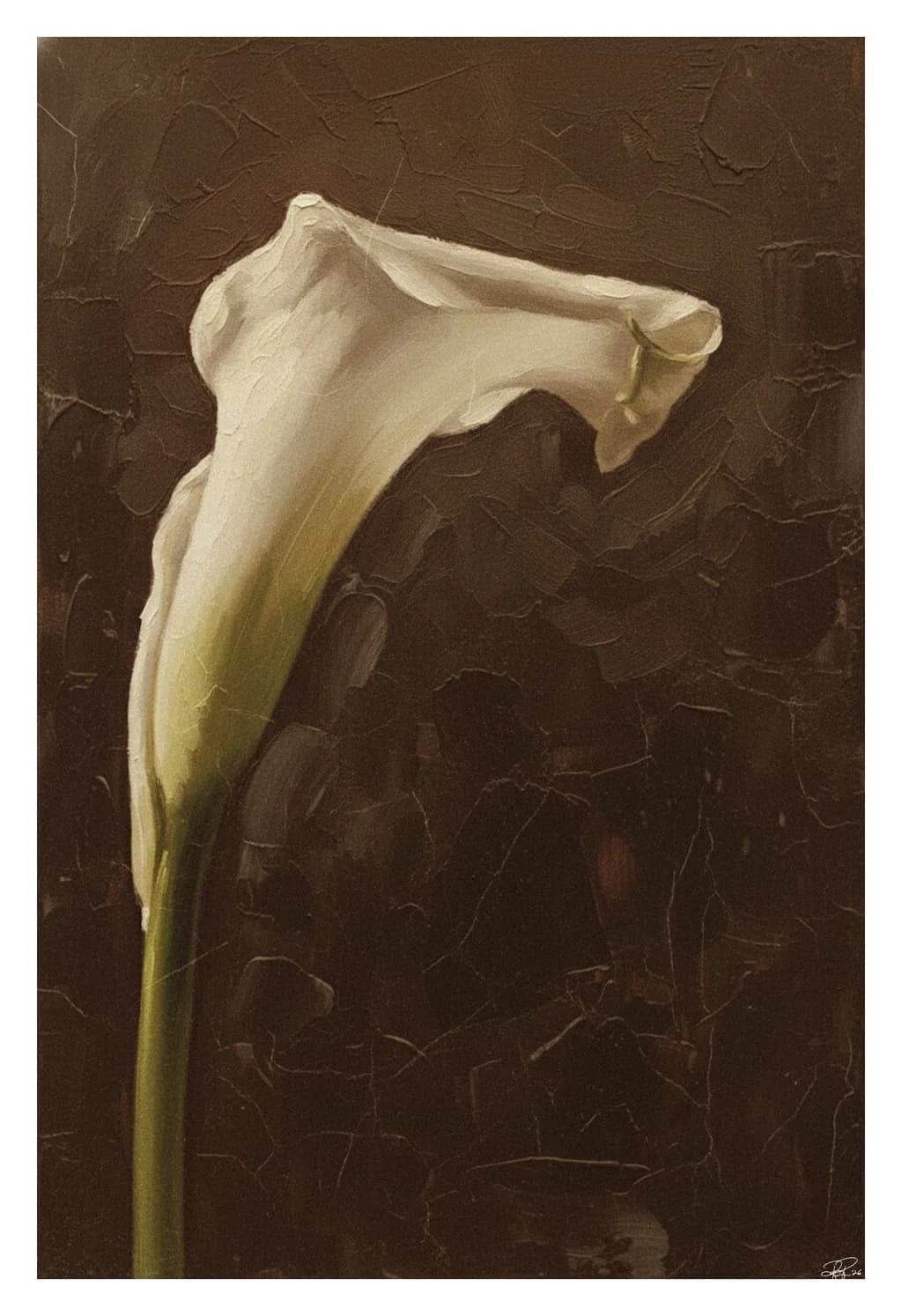 Calla Lily Study