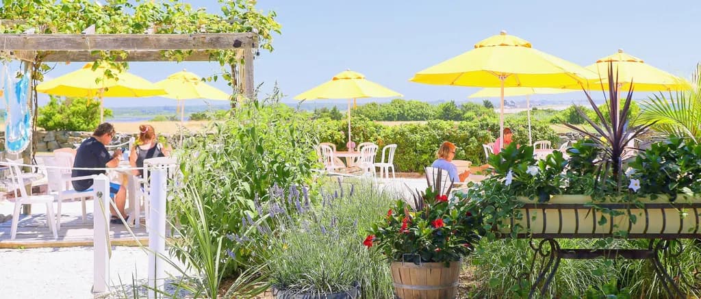 Outdoor Garden Cafe Scene