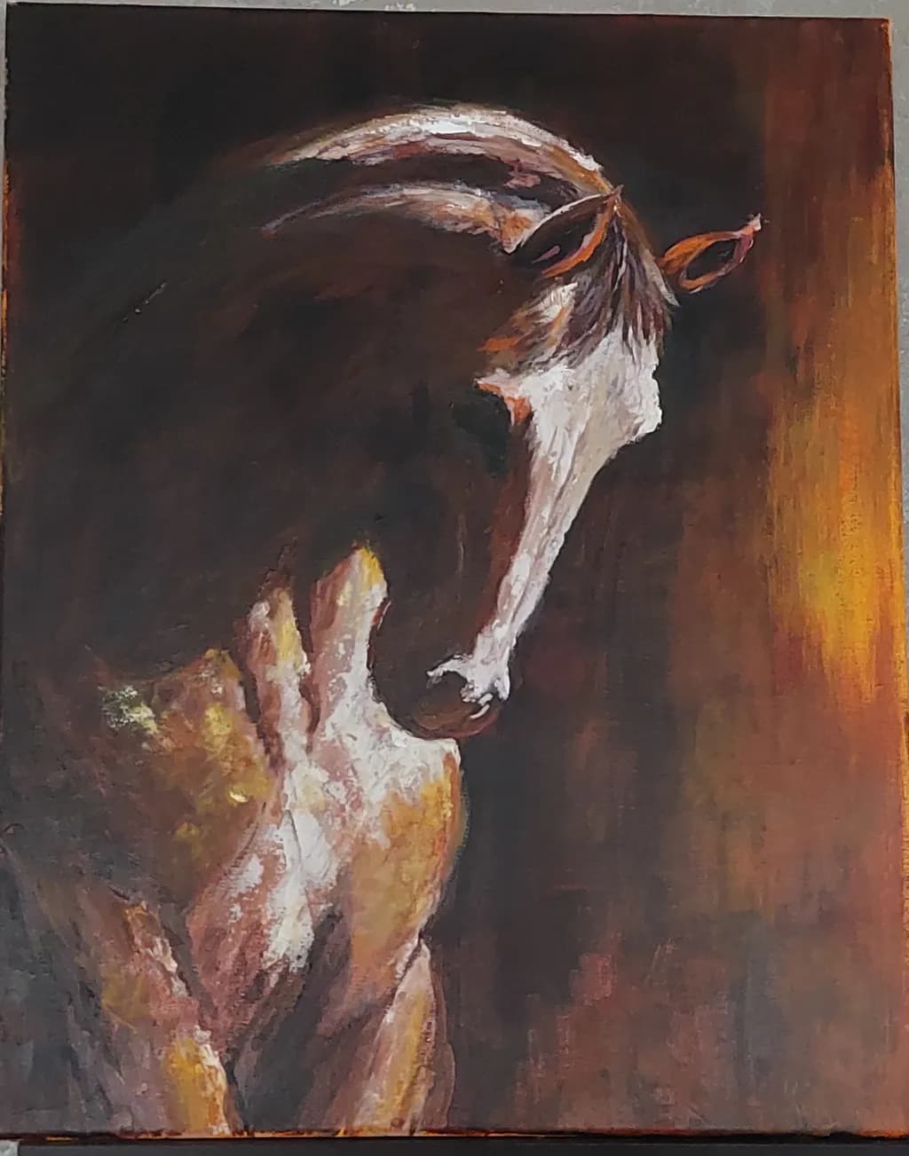 Horse in Warm Light