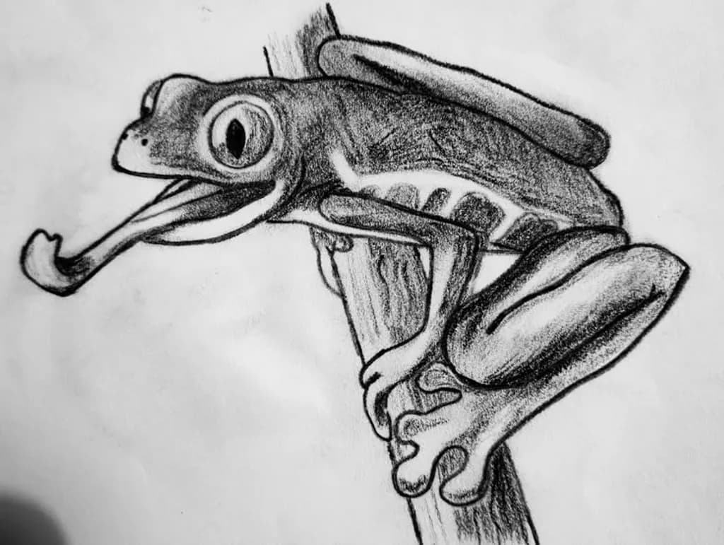 Frog on Tree Branch