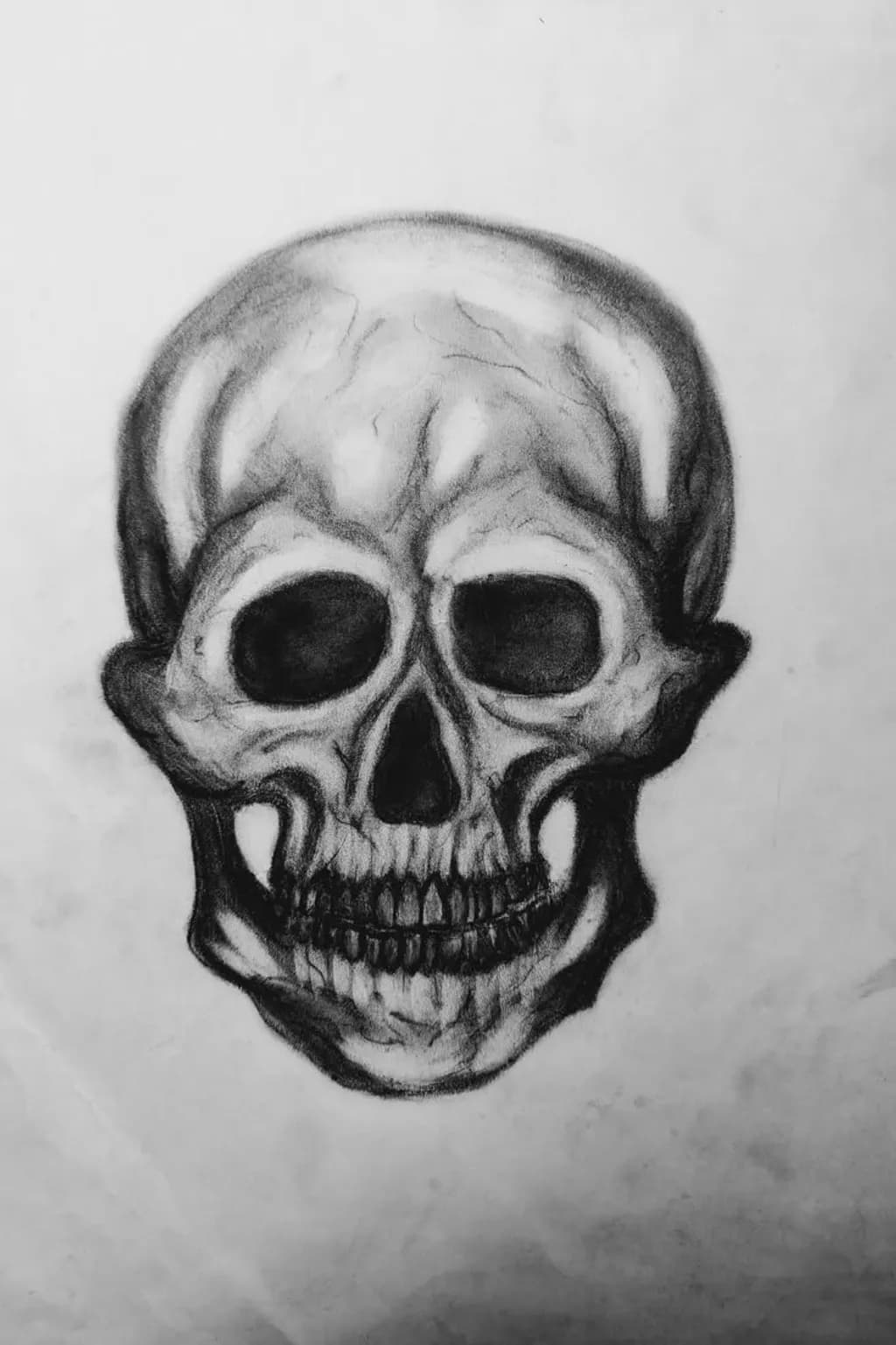 Charcoal Skull Study