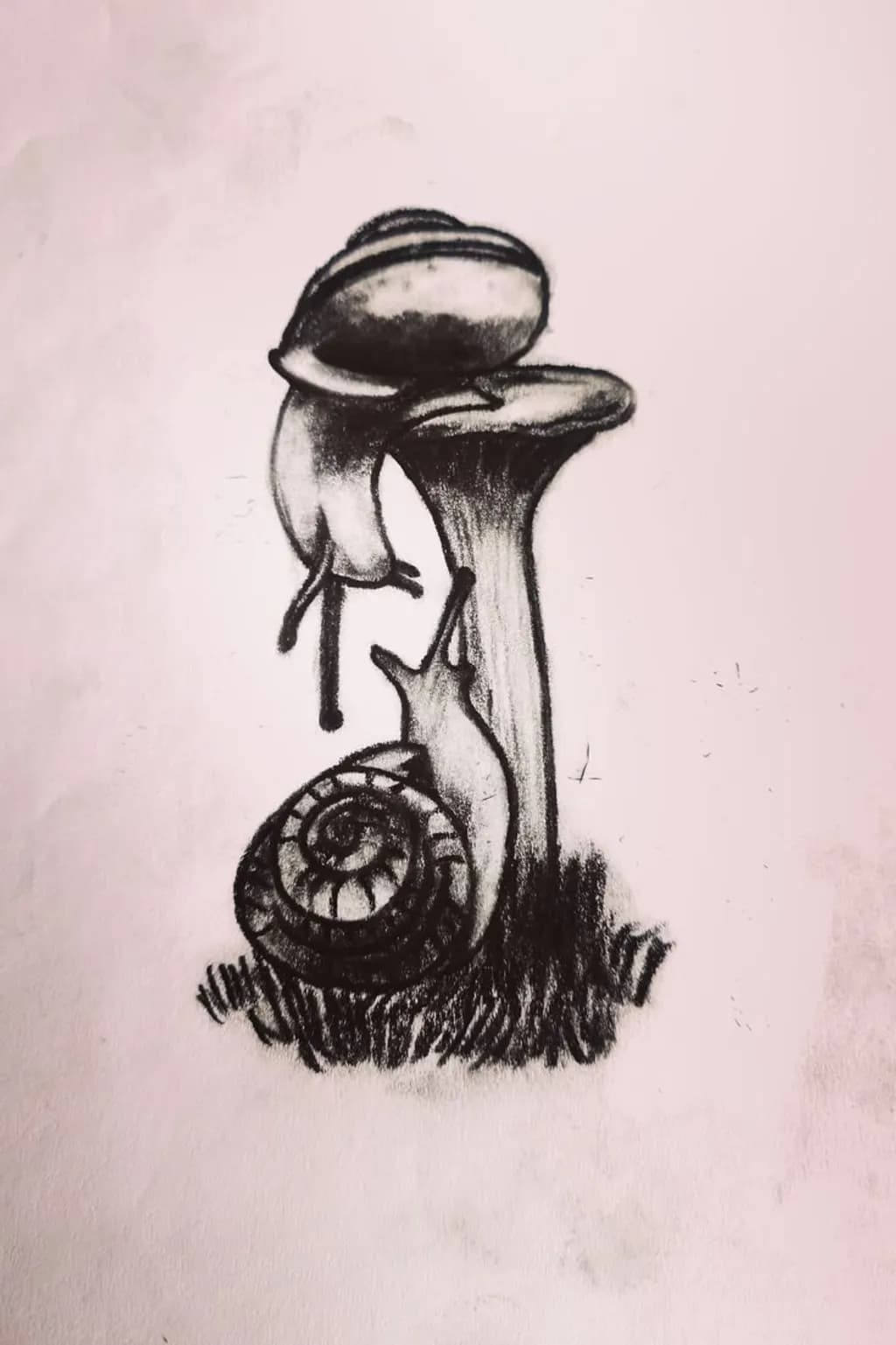 Snails and Mushrooms