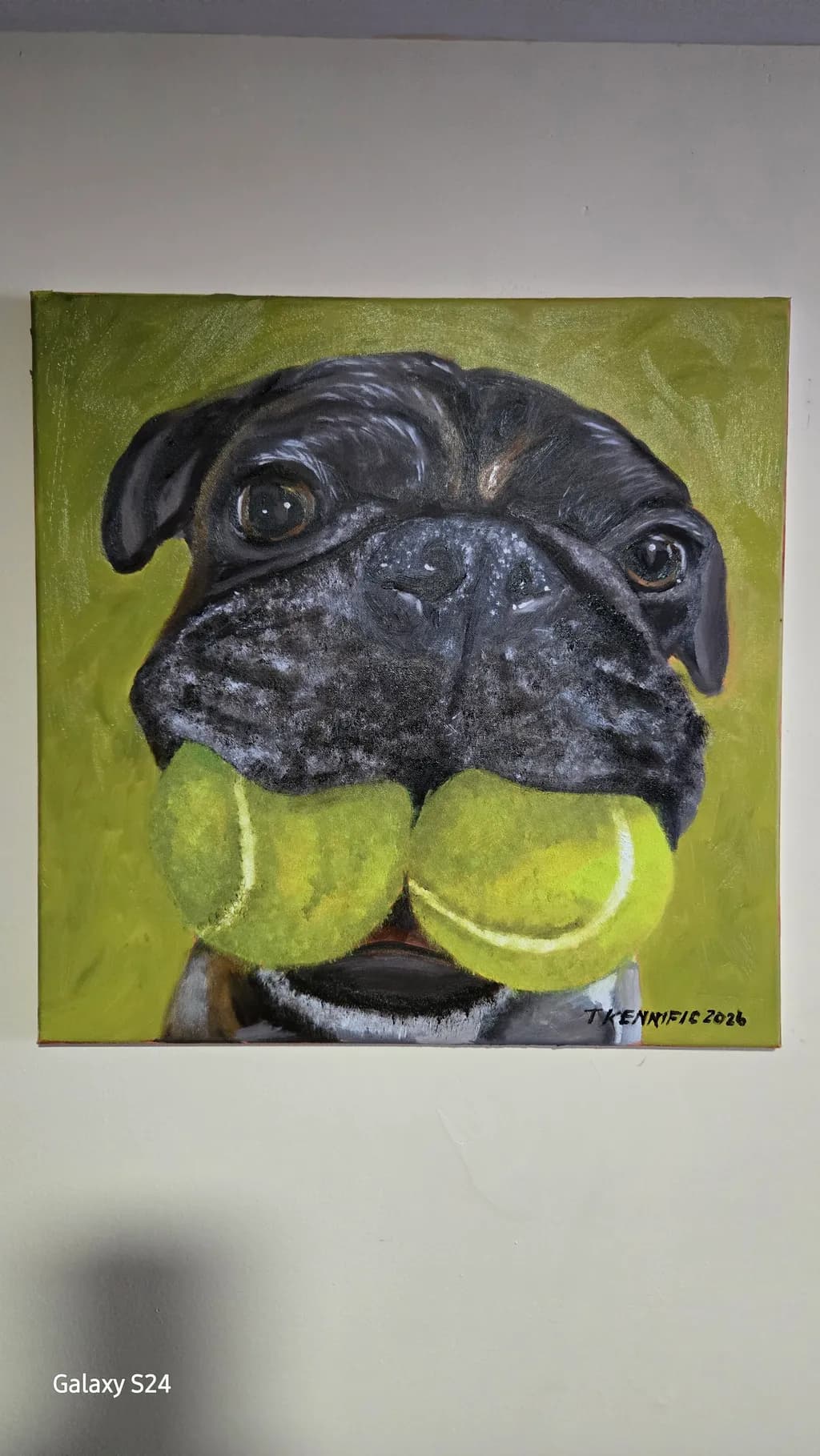 Pug with Two Tennis Balls