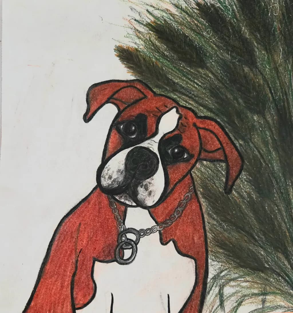 Boxer Dog Portrait