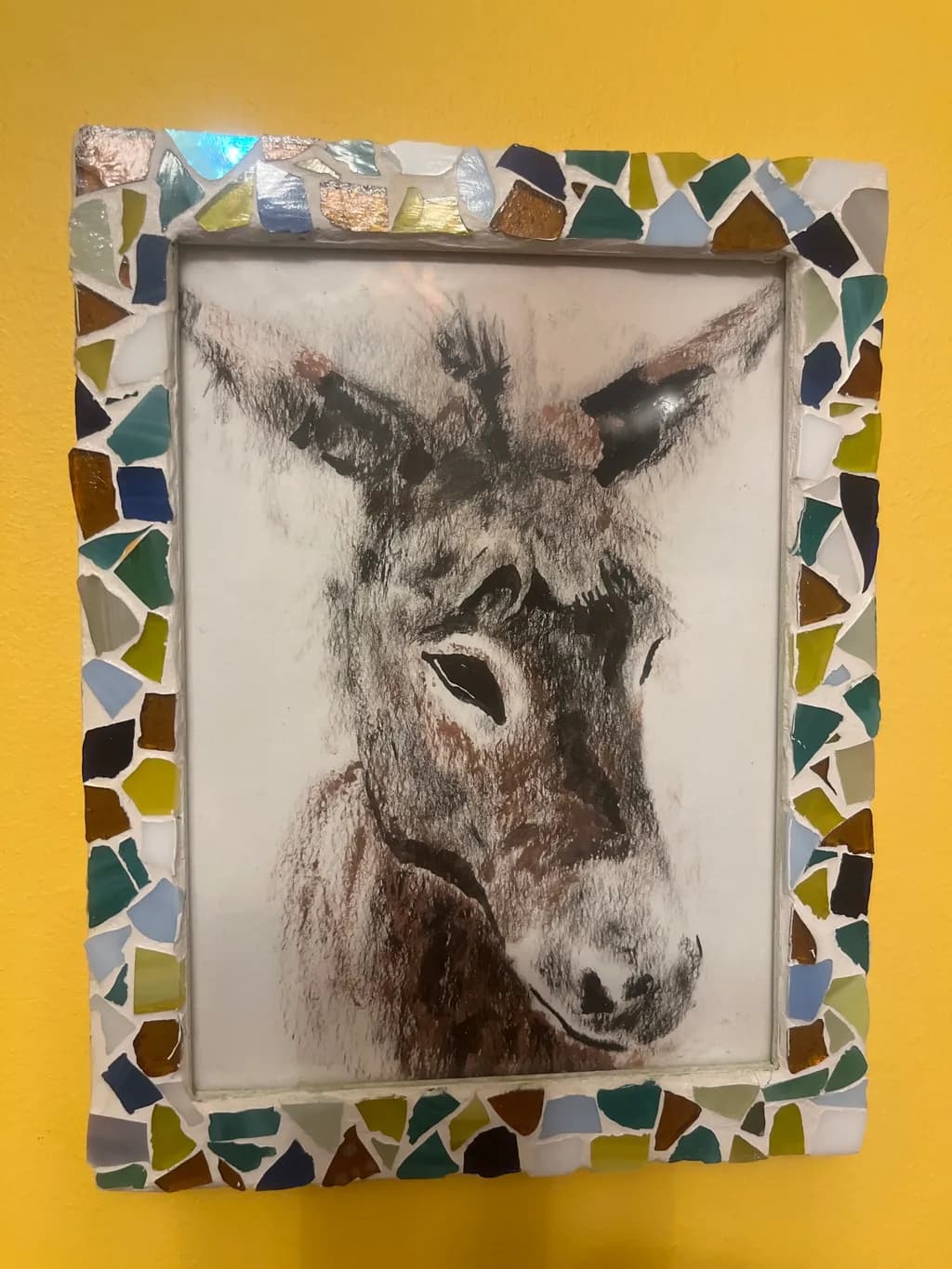 Donkey Portrait
