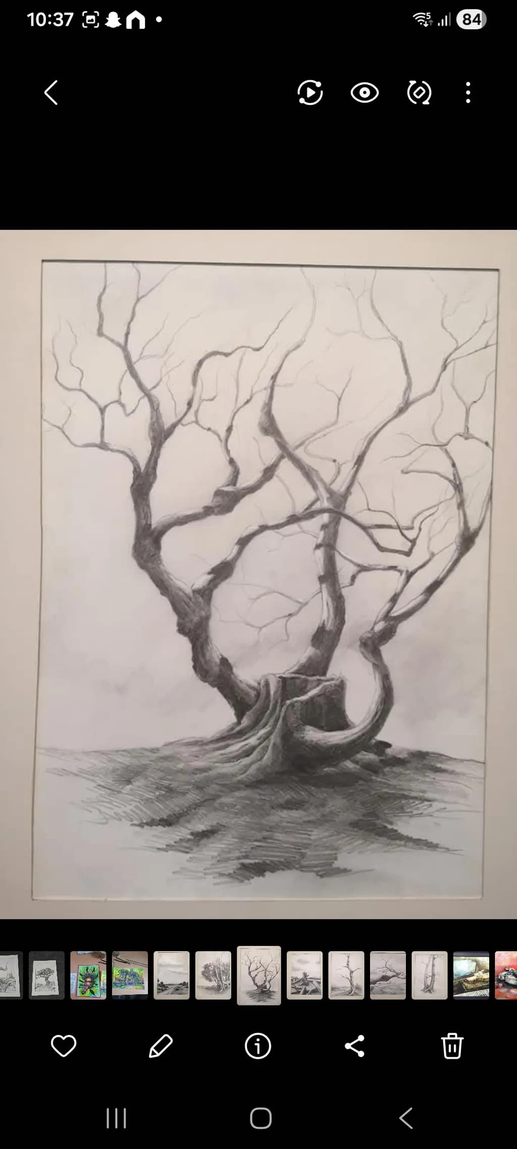 Twisted Tree Stump