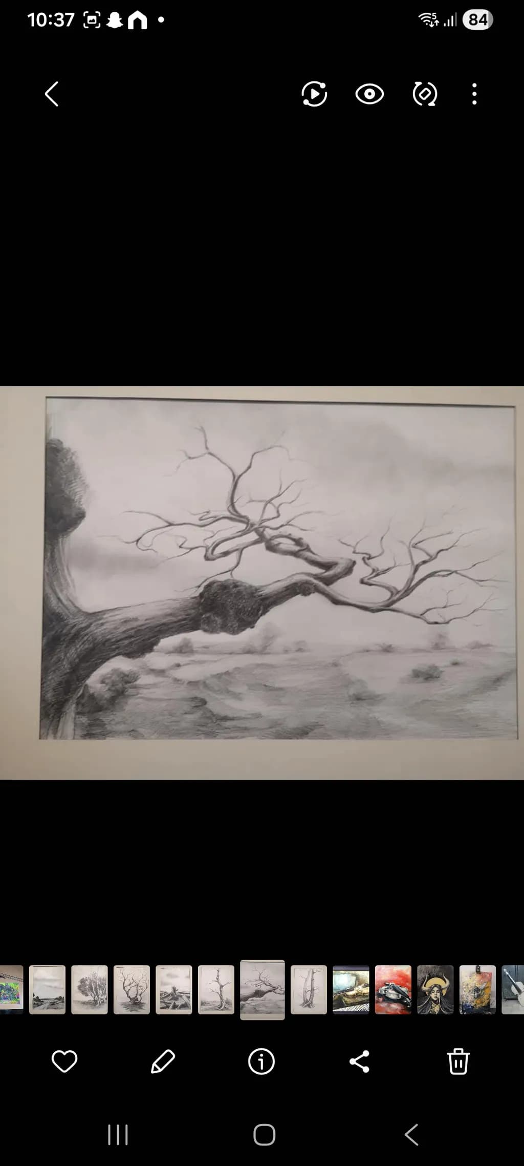 Twisted Tree Branch
