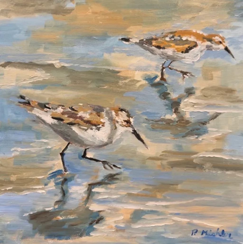 Shorebird Reflections