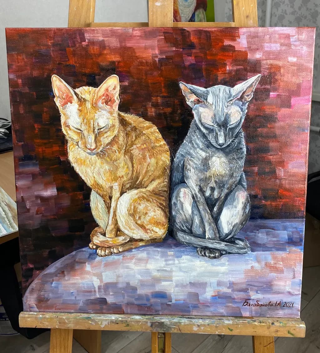 Two Cats on Table