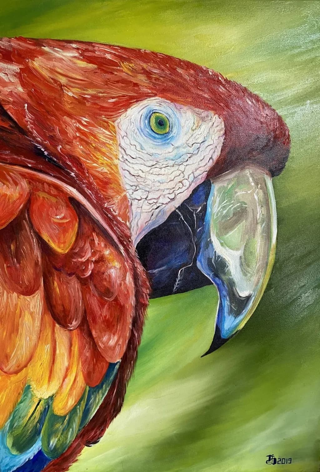 Macaw Profile
