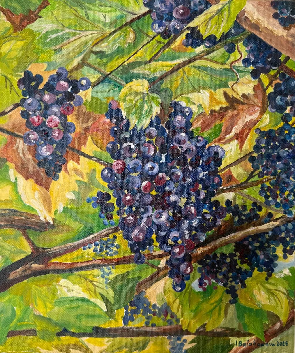 Grapevine Harvest