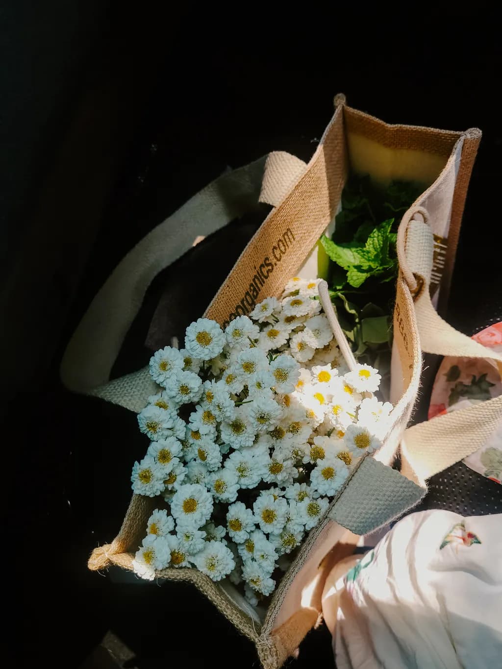 Daisy Bouquet in Bag