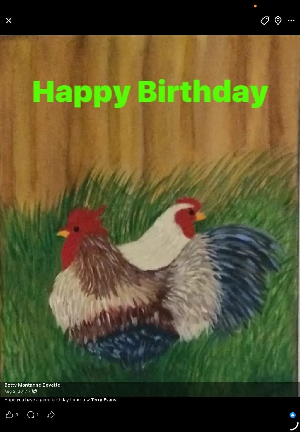 Roosters in Grass