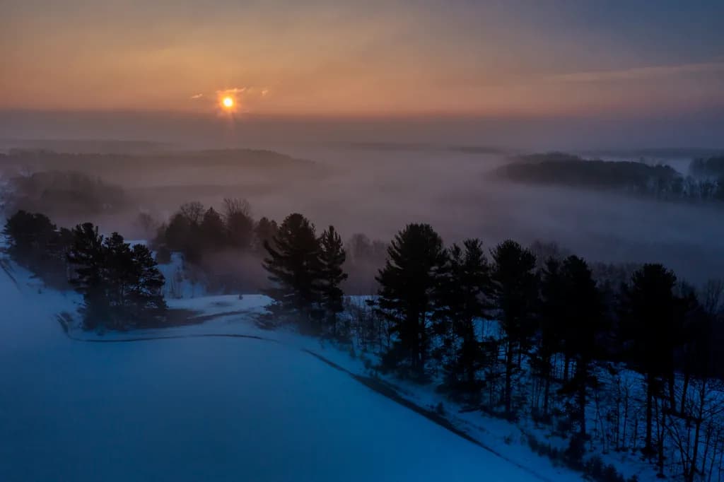 Sunset Over Snowy Trees