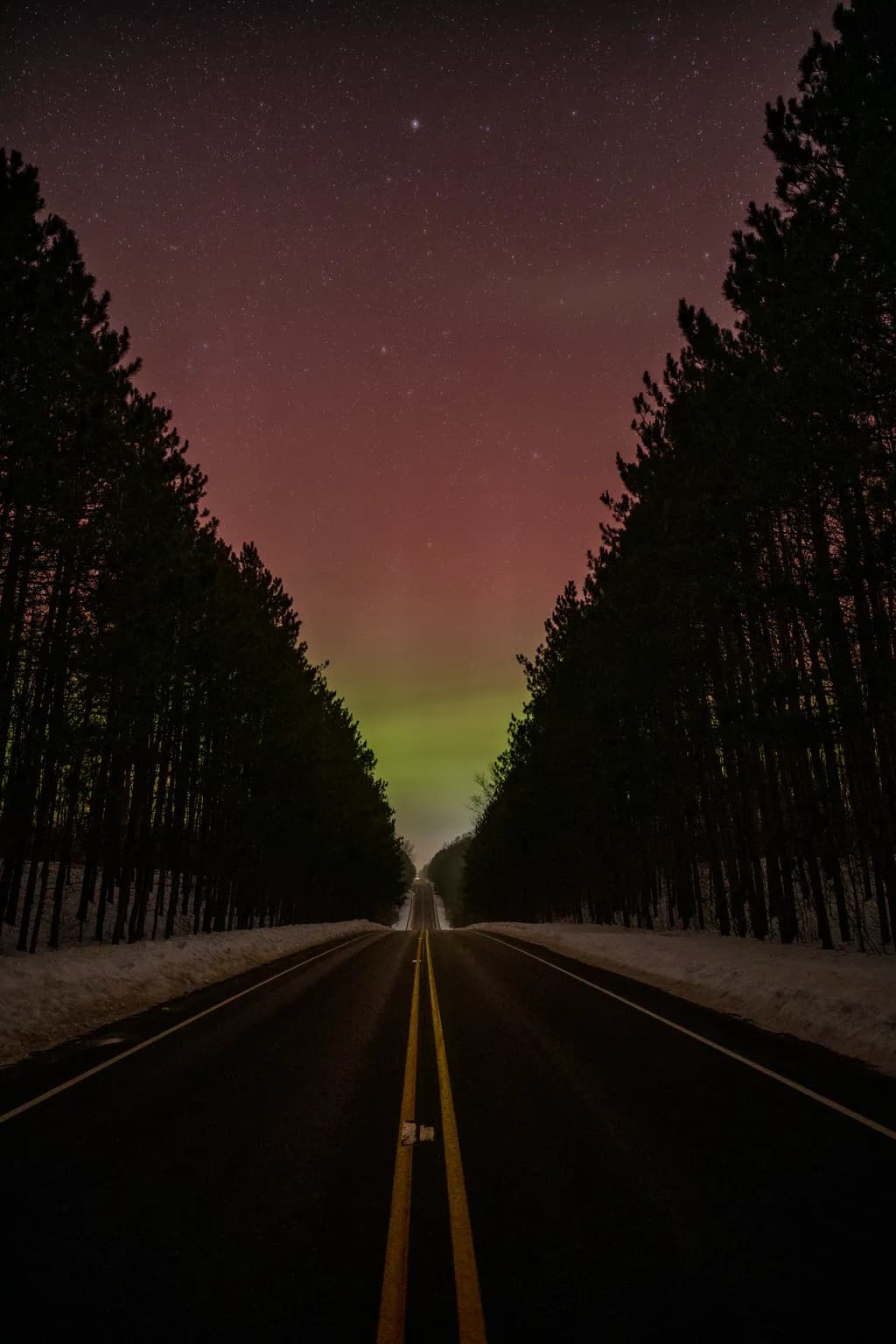 Road Through Forest Night