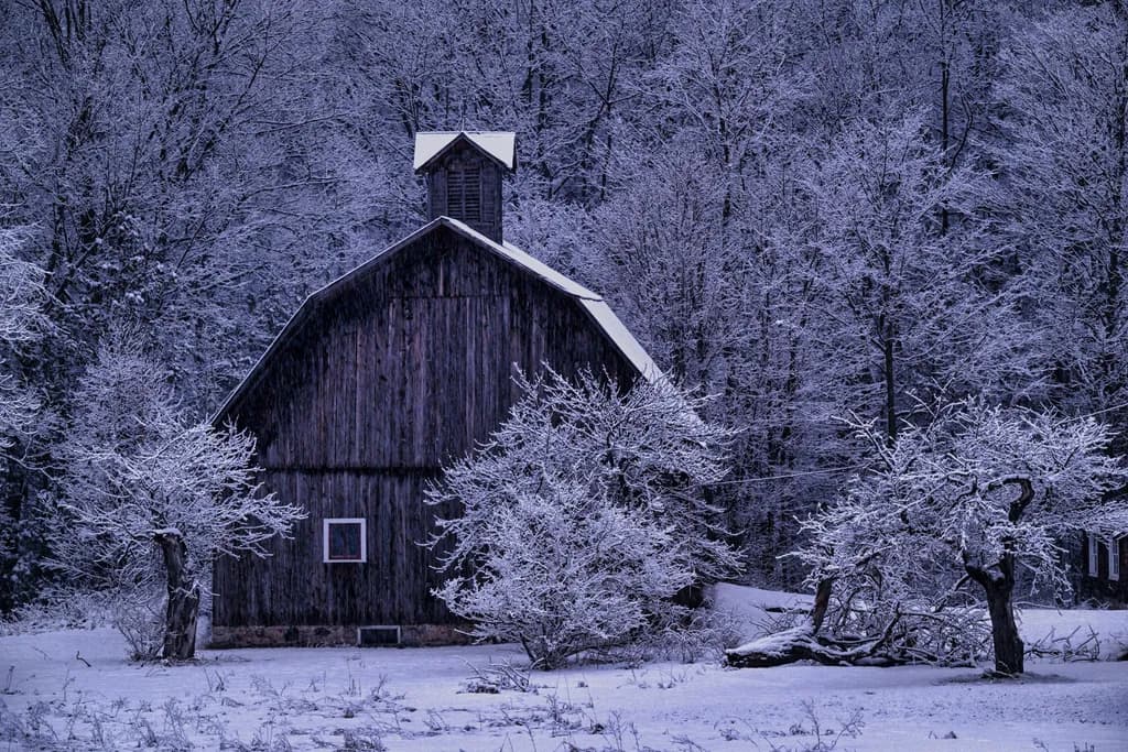 Snow-Covered Barn and Trees