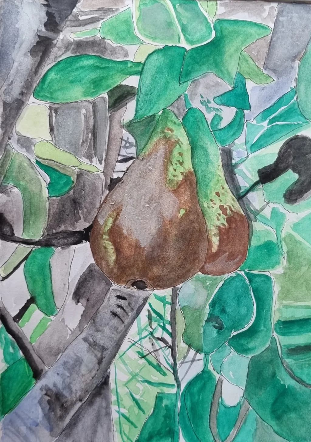 Pear on Branch