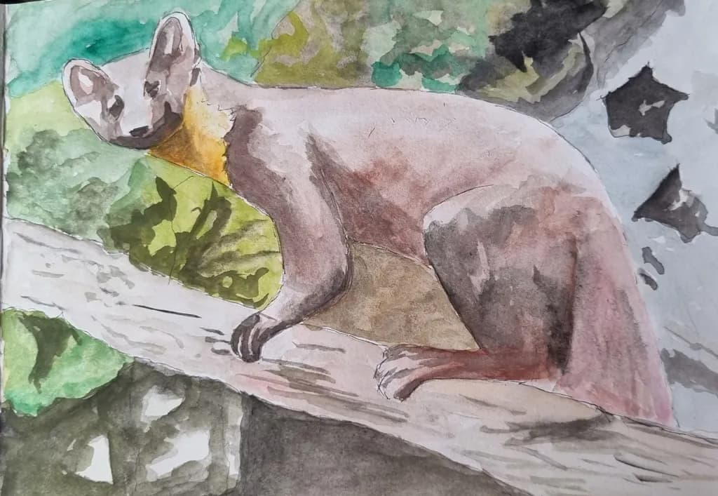 Tree Climbing Animal