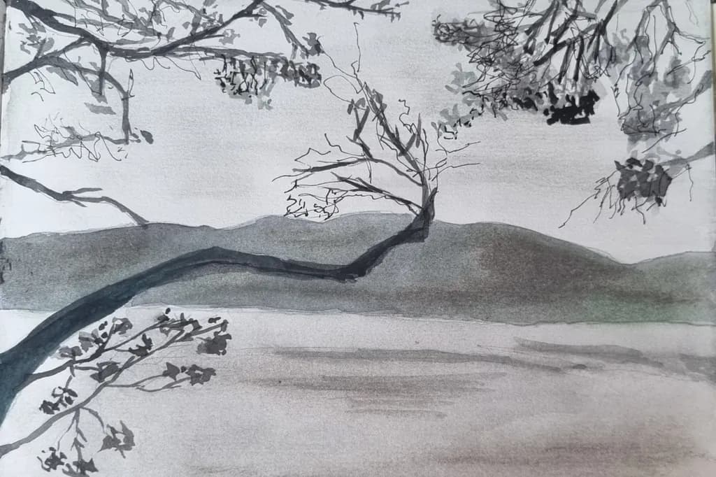 Lakeside Branches