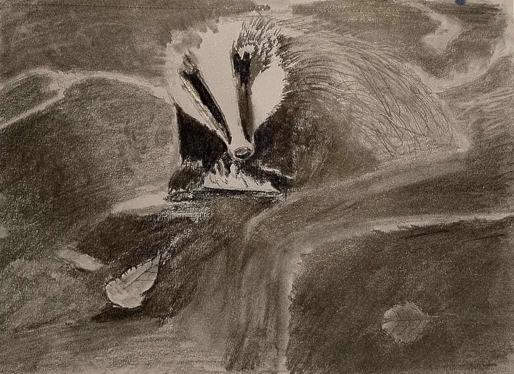 Forest Badger Scene