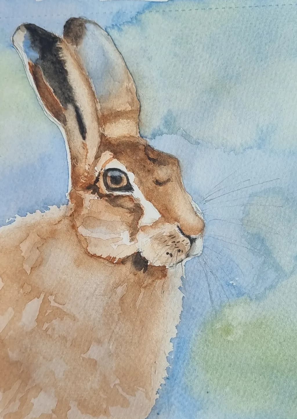 Watchful Hare in Watercolor