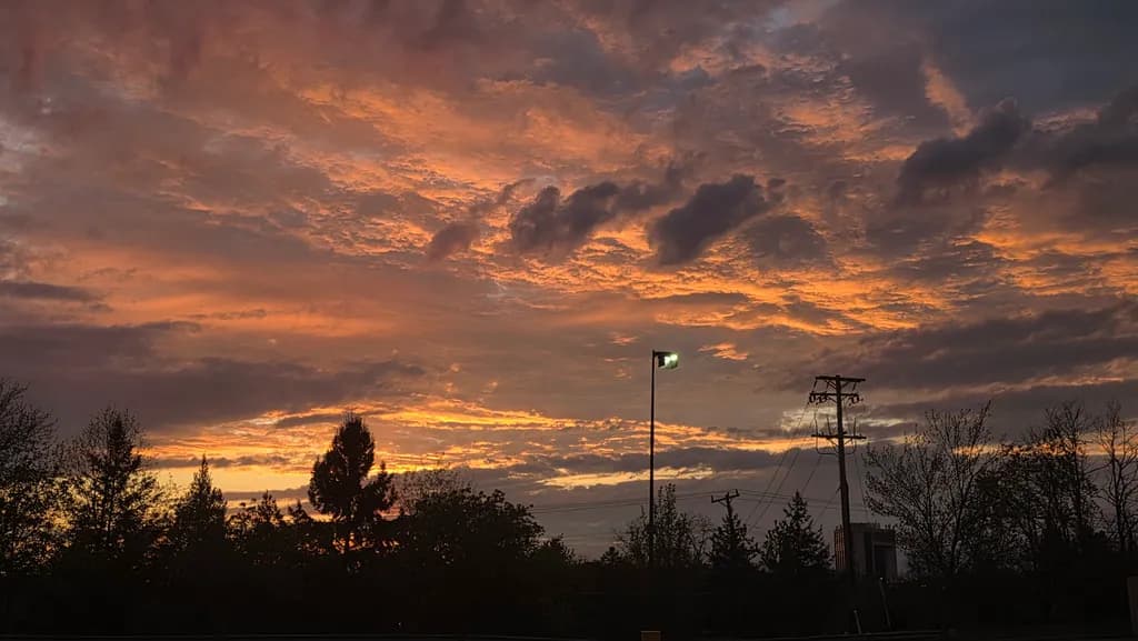 Sunset Silhouettes