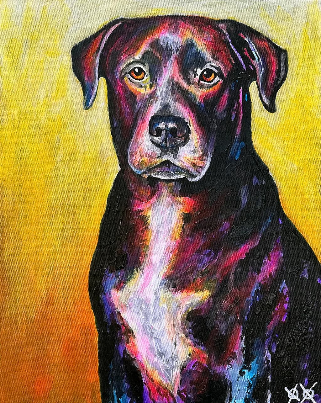 Shelby Dog Portrait