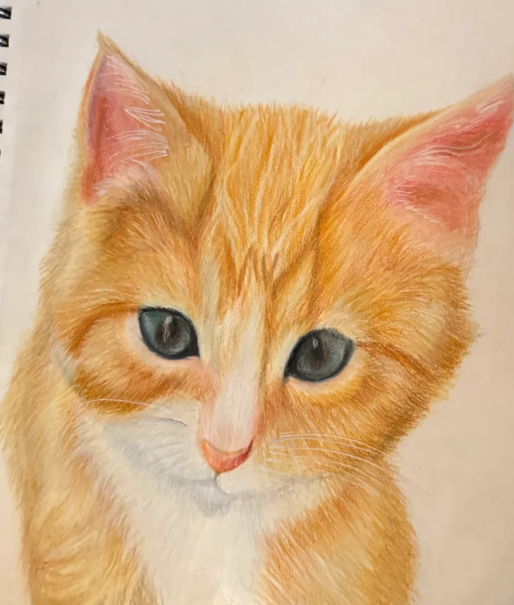 Ginger Cat Portrait