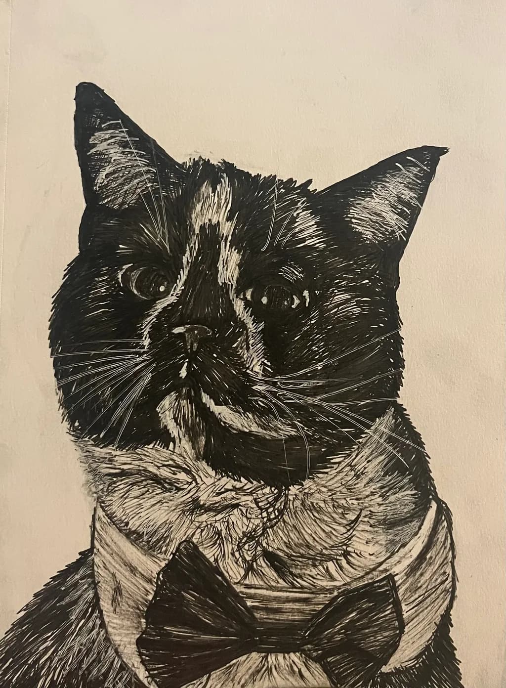 Tuxedo Cat Portrait