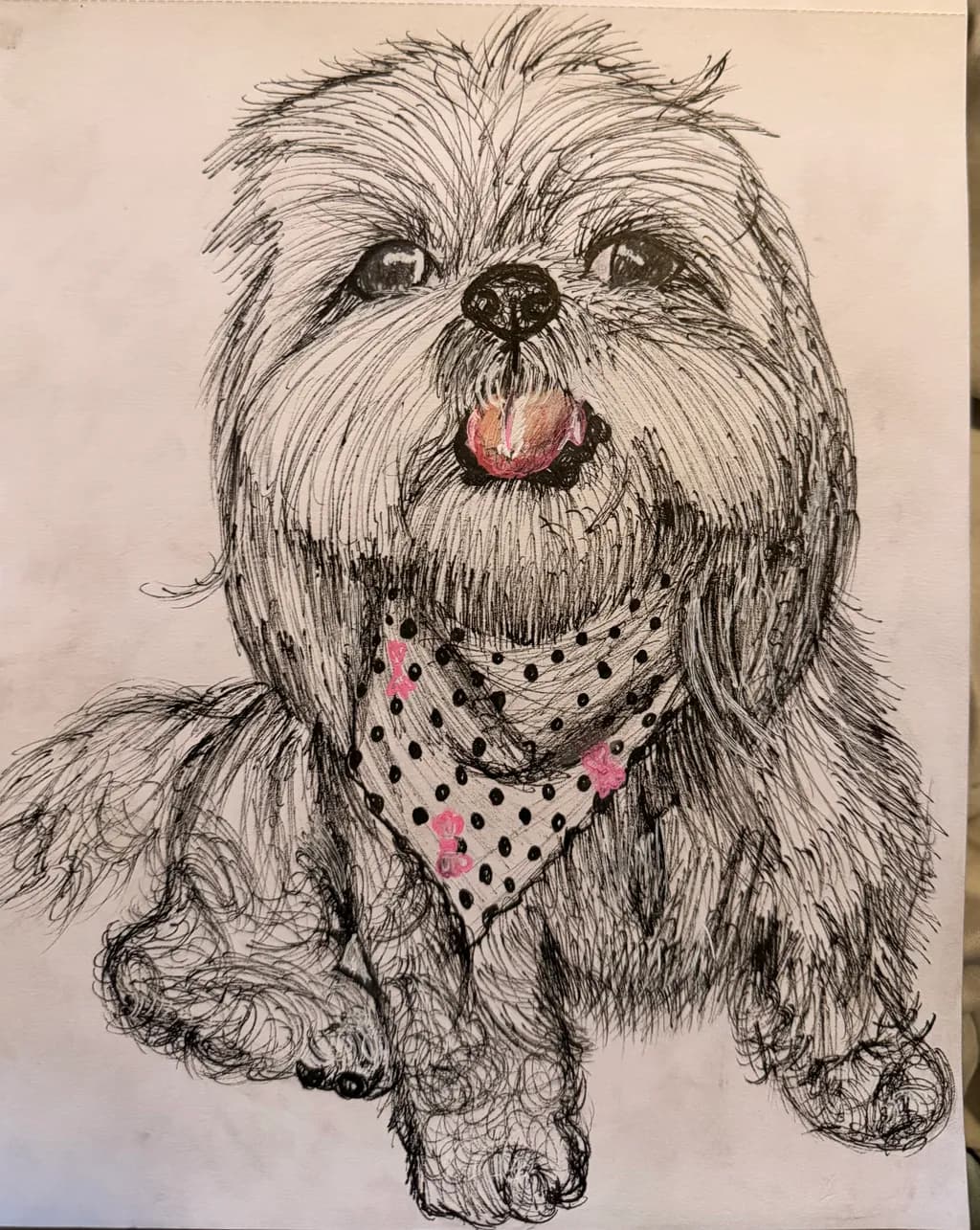 Shih Tzu Portrait