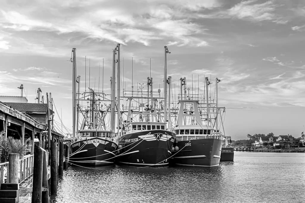 Lobster House Fleet