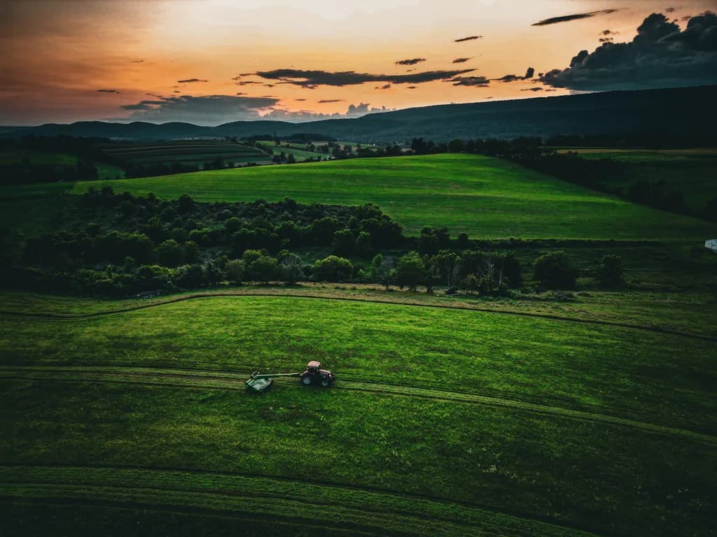 Sunset Over Green Fields