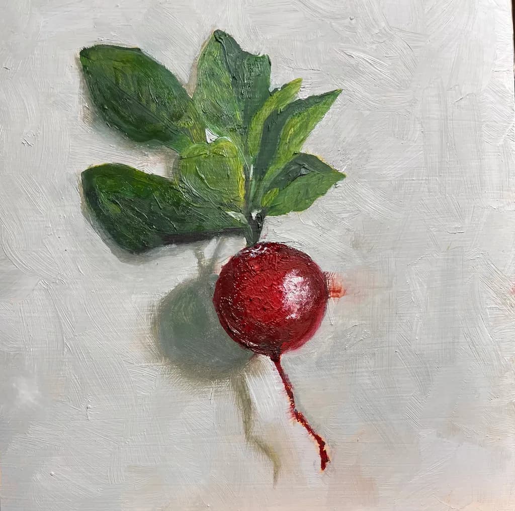 Red Radish Still Life